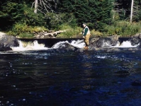 Little Boy Falls